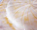 Une image de l'étape 6 de Galette des rois au chocolat 🍫 de Cyril Lignac 😋.