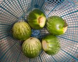 Foto langkah ke 1 dari resep Sambal teri terong hijau bulat.