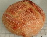 Foto langkah ke 20 dari resep Rye Sourdough Bread.