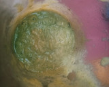 Foto del paso 4 de la receta: Crema de espárragos trigueros