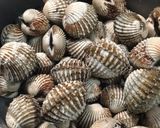 Foto langkah ke 1 dari resep Pindang Kerang Dara🐚.
