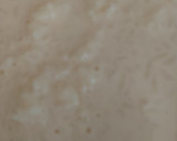 Foto del paso 5 de la receta: Arroz con Leche