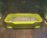 Foto del paso 4 de la receta Pan de semillas (sin harinas)