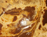 Foto del paso 10 de la receta: Mole Oaxaqueño con pollo y tortillas de maíz hechas a mano