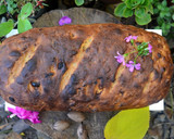 Foto del paso 7 de la receta: Pan con nueces y pasas de uva🍞