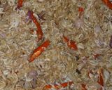 Foto langkah ke 1 dari resep Goreng rebon bawang merah.