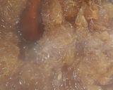 Foto del paso 4 de la receta: Empanadillas blanqueadas