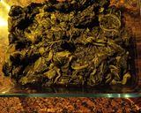 Foto del paso 1 de la receta: Espinacas y coliflor gratinadas