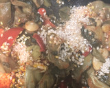 Foto del paso 3 de la receta: 142. Paella de verduras y magret de pato (principal paella)