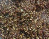 Foto langkah ke 4 dari resep Bumbu Pecal Homemade.