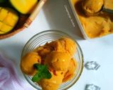 Foto langkah ke 5 dari resep Sorbet Mangga.