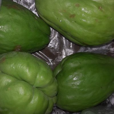 Langkah 4