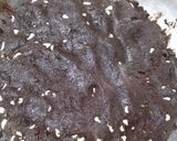Foto del paso 3 de la receta: Cookies de chocolate amargo con chips blancos 🖤