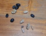 Foto del paso 1 de la receta: Frijoles pintos básicos