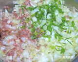 A picture of step 7 of Pork and Cabbage Dumplings.