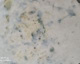 A picture of step 4 of Curd potato paratha.