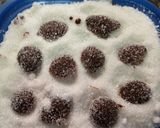 Foto del paso 5 de la receta: Caramelos de miel vegana y limón