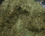 Foto del paso 5 de la receta: Hamburguesas de espinacas