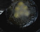 Foto langkah ke 4 dari resep Bola tahu telur puyuh simpel.