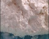Foto del paso 1 de la receta: Pan de pueblo con harina de trigo