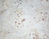 A picture of step 5 of Soft Roti.