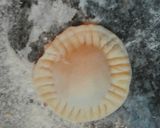 Foto del paso 14 de la receta: 🌟Sorrentinos de jamón y mozarrella🌟