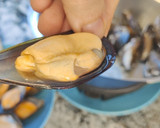 Foto del paso 5 de la receta: Mejillones al cava con MyCook Touch