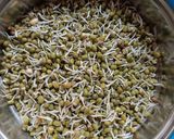 A picture of step 3 of Sprouted moong.