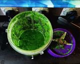 A picture of step 2 of Palak Khichdi.