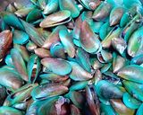 Foto langkah ke 1 dari resep Kerang ijo simple.