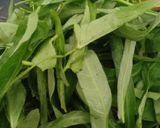 Gambar langkah 5 resipi Kangkung Goreng Belacan.