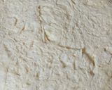 Φωτογραφία βήματος 3 της συνταγής 🍞 Ψωμί του τοστ σπιτικό🍞