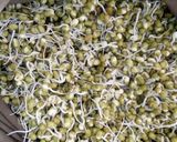 A picture of step 2 of Chana and Sprouts Bhel.