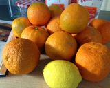 A picture of step 1 of Marmalade.