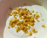 Foto langkah ke 5 dari resep Ice Cream Nangka.