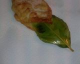 Foto del paso 4 de la receta: Paparajotes de limón