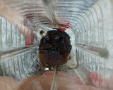 Foto del paso 4 de la receta: Salsa de ciruela para chuletas o jamón ahumado
