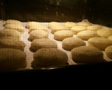 Foto del paso 7 de la receta: Galletas de queso crema y vainilla