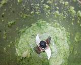 Fresh Peas Chila recipe step 2 photo
