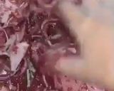 صورة لخطوة 2 من وصفة مسخن دجاج بطريقة سهلة جدا