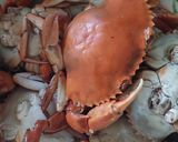 Foto langkah ke 1 dari resep Kepiting Saus Padang.
