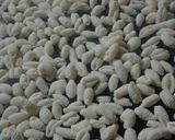 Foto del paso 10 de la receta: Ñoquis de leche súper rápidos y livianos!