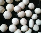 रसगुल्ला (Rasgulla recipe in Hindi) रेसिपी चरण 3 फोटो