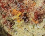 મુઠીયા (Muthiya Recipe in Gujarati) રેસીપી સ્ટેપ2ફોટો