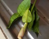 Foto langkah ke 6 dari resep Rendang Sapi ala dna23.
