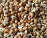 Kacang mentik goreng langkah memasak 1 foto