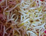 Foto langkah ke 1 dari resep Crunchy Toge.