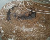 Foto langkah ke 4 dari resep Cake coklat lumer.