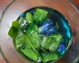 Foto langkah ke 2 dari resep Teh Daun Sirsak Bunga Telang.