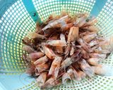 Foto langkah ke 1 dari resep Bubuk Kaldu dari Kepala Udang.